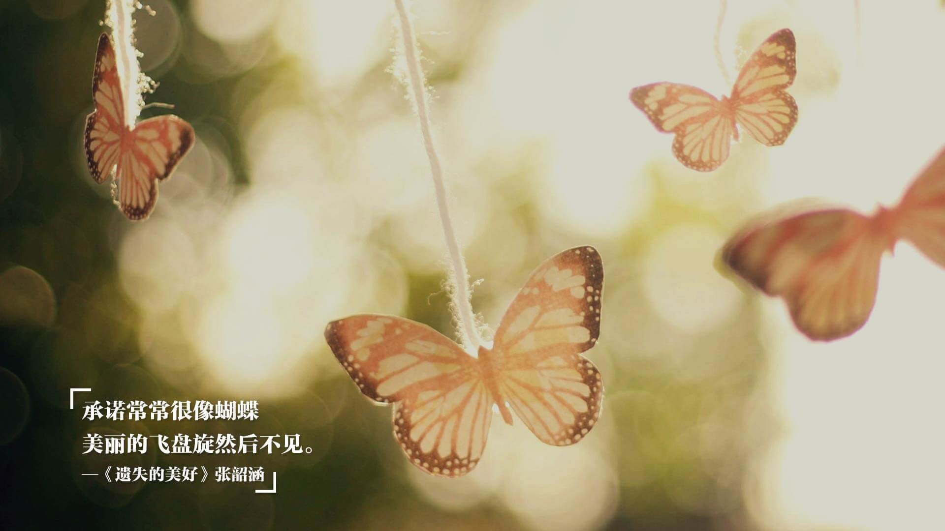 理性堡垒，梅德韦杰夫如何以冰封战术重塑年终总决赛的天际线