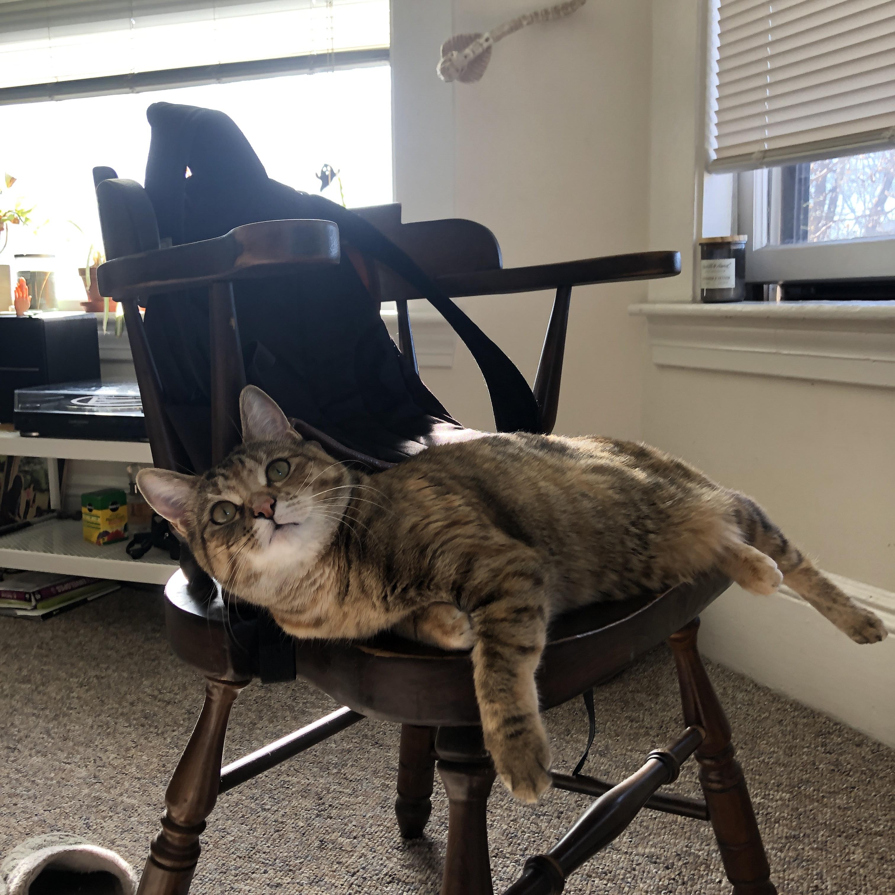 龙城奇迹，CBA山西队在异次元抢七战中横扫NBA灰熊