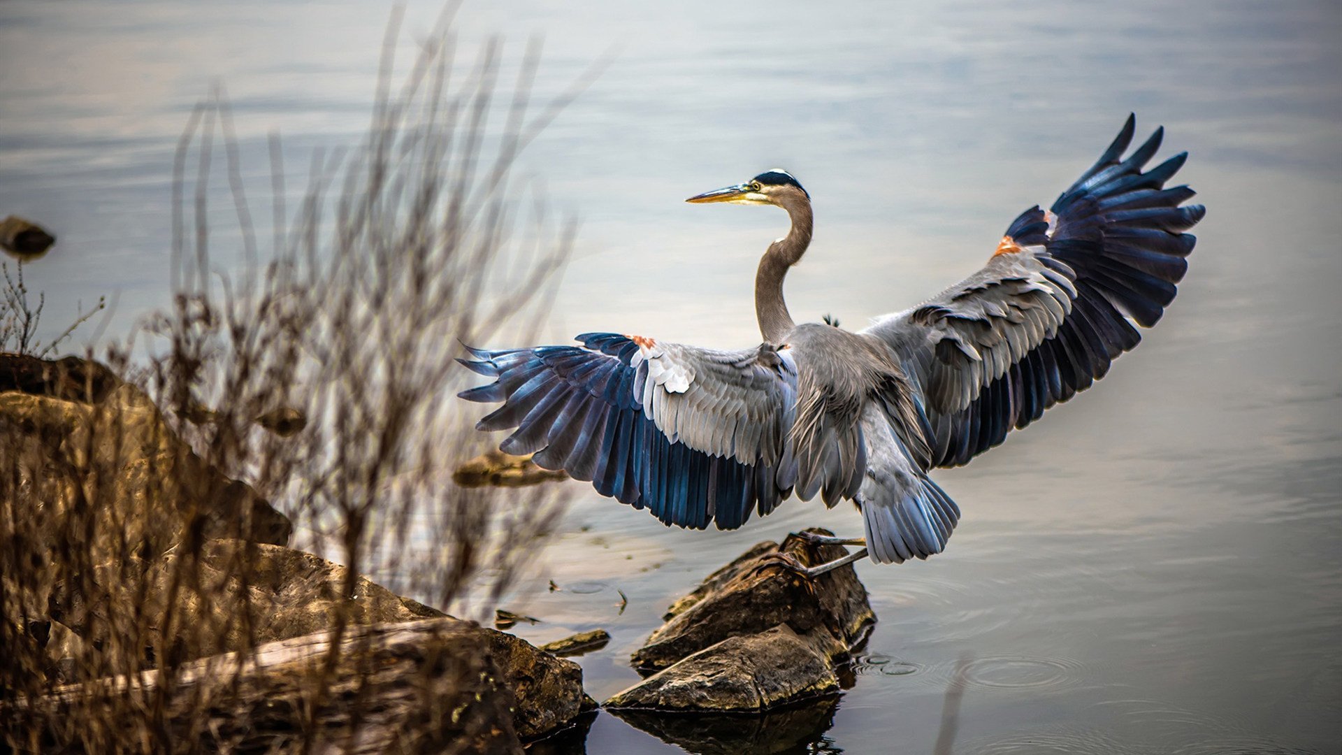 爱游戏娱乐-钢铁屏障与致命锋刃，斯通斯一人筑起切尔西的新北境长城