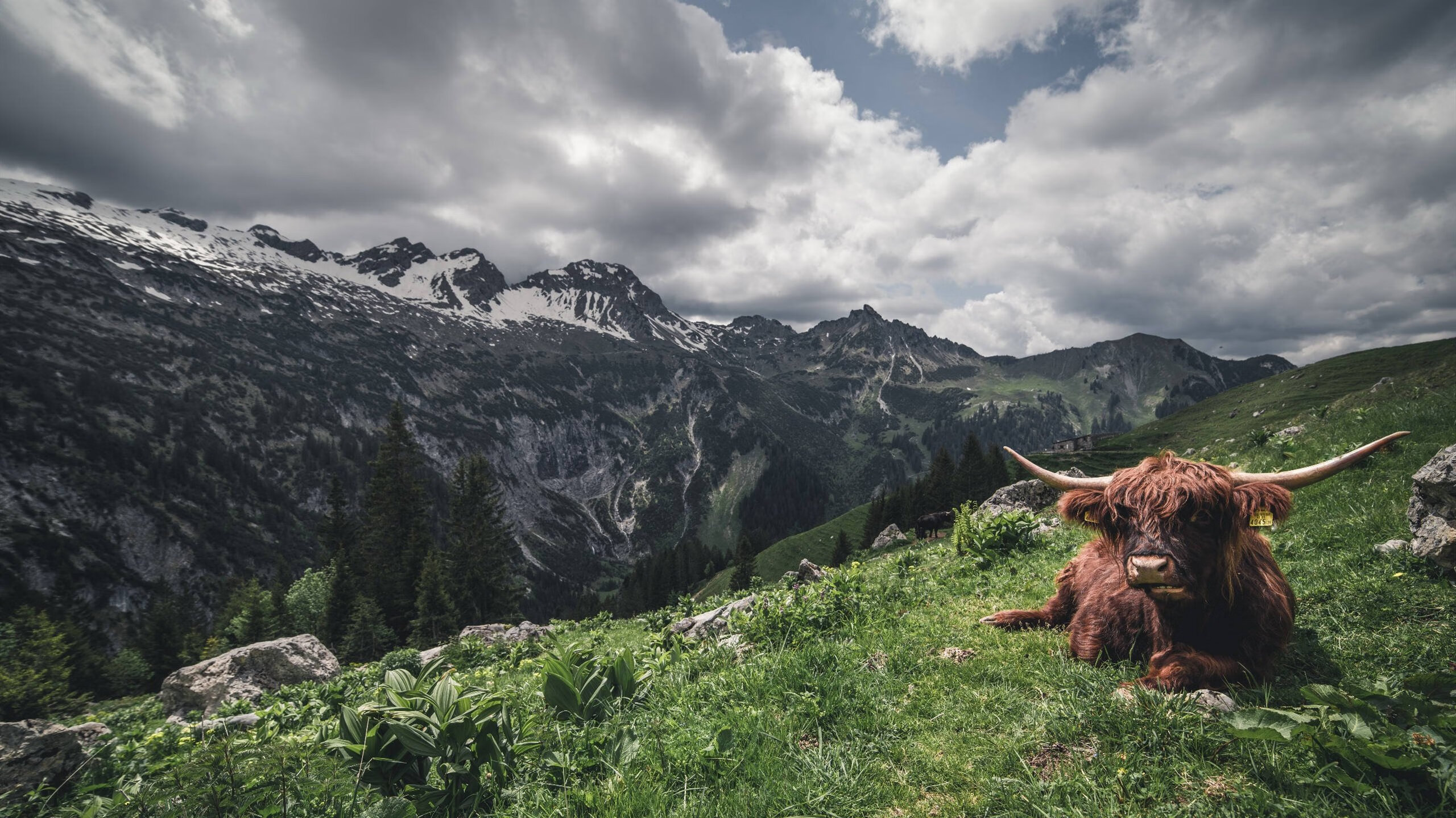 爱游戏在线-破冰者与绿巨人交响曲，一场跨越太平洋的证明之战