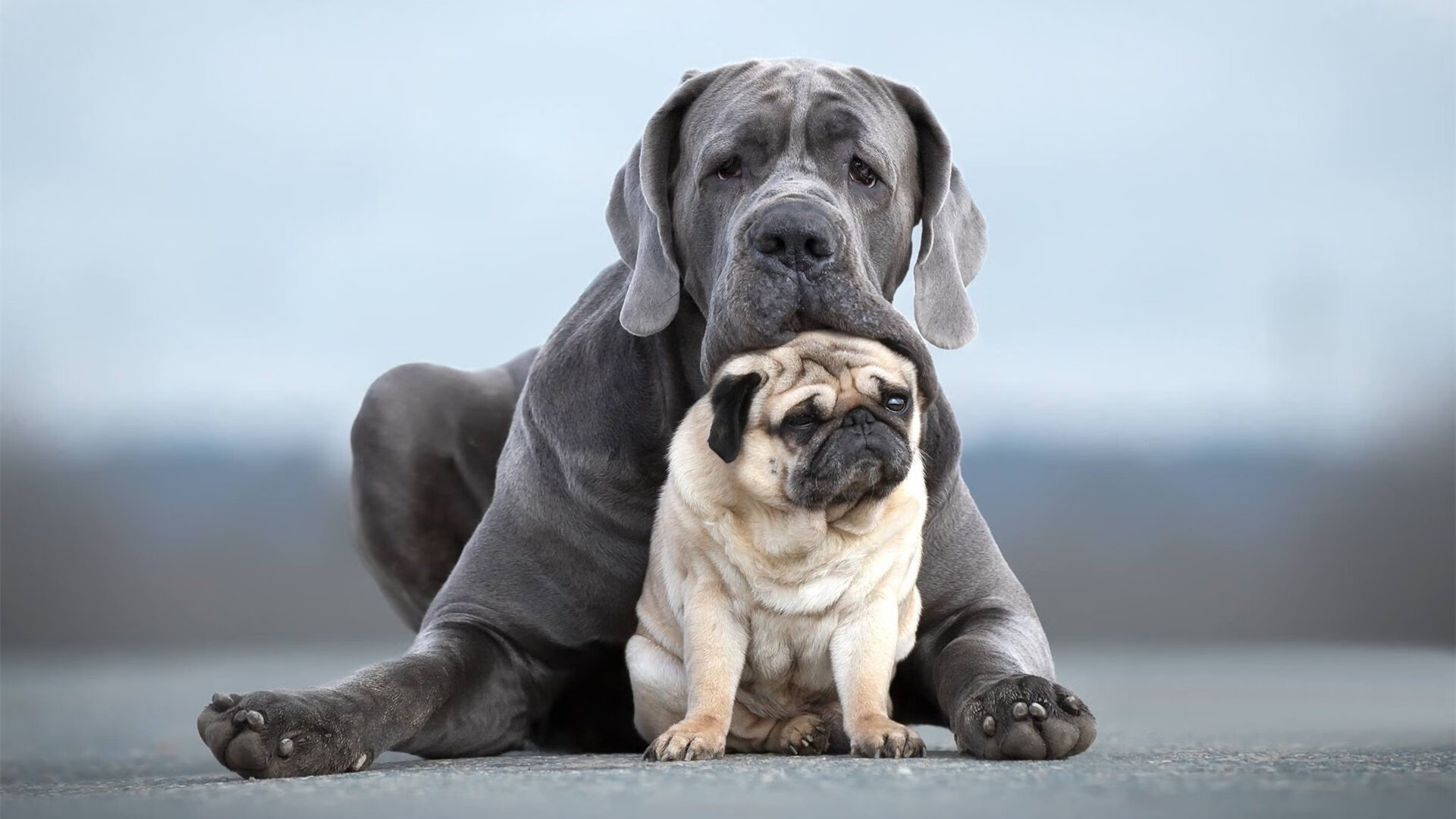 利物浦欧冠斩落拜仁，英超争冠焦点战前夕的强心剂