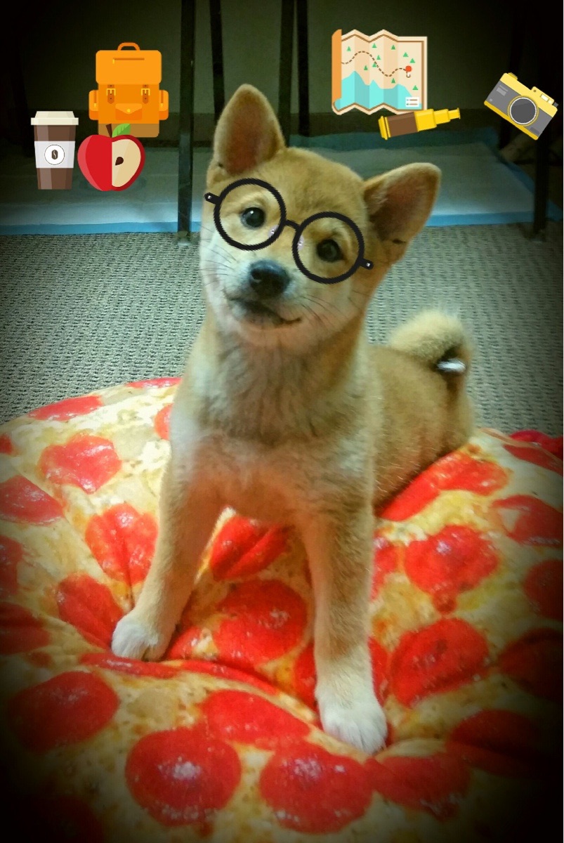 爱游戏入口-克莱·汤普森的平行宇宙，在芝加哥，他终究活成了乔丹的模样