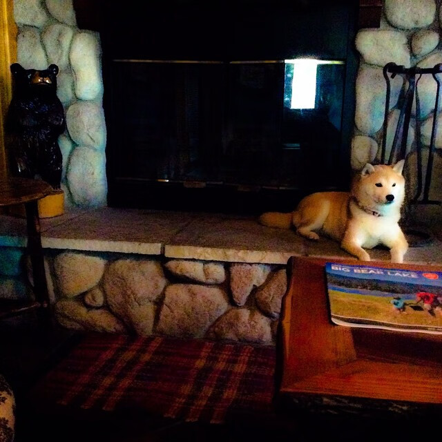 爱游戏官网-北欧铁壁与亚平宁利刃，瑞典的战术枷锁如何制造了基耶萨的封神之夜