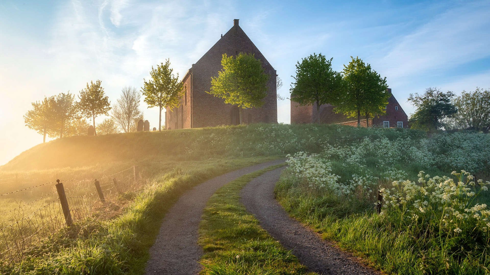 友谊赛破冰与身份的共振，奥斯梅恩的西班牙生死战成为智利足球的奇妙镜像