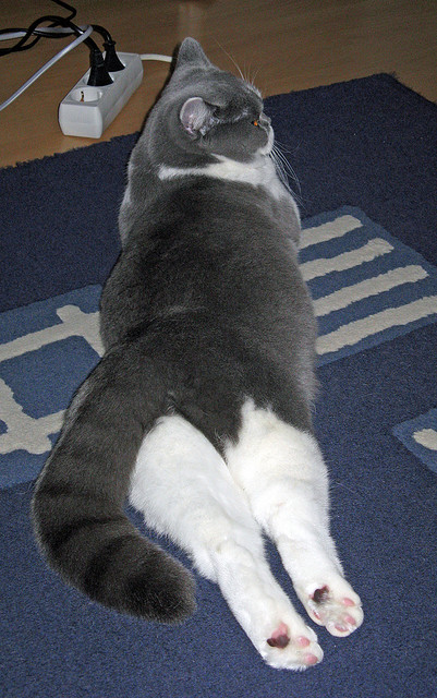 秘鲁加时鏖战绝杀克罗地亚！萨内冷箭改写南美足球历史