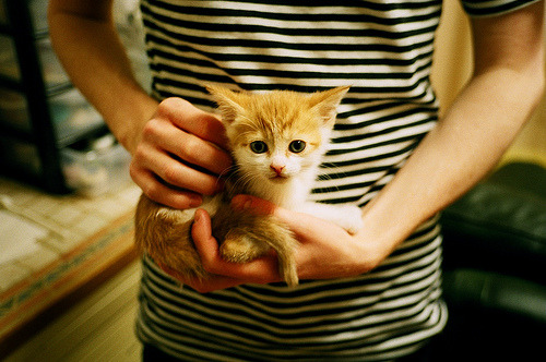 爱游戏-鹈鹕终场潮涌吞海堤，福克斯三分如戟定乾坤