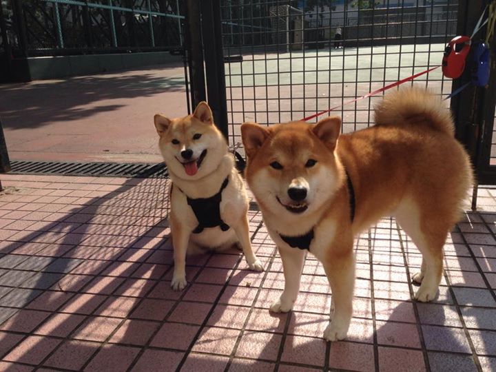 速度与接管，体育世界里，胜利从未有唯一剧本