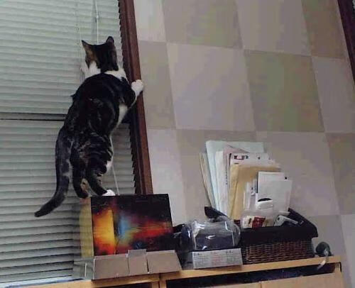 虽败犹荣!英格拉姆统治全场 却难破步行者铁壁 防守锁死猛龙成比赛真核