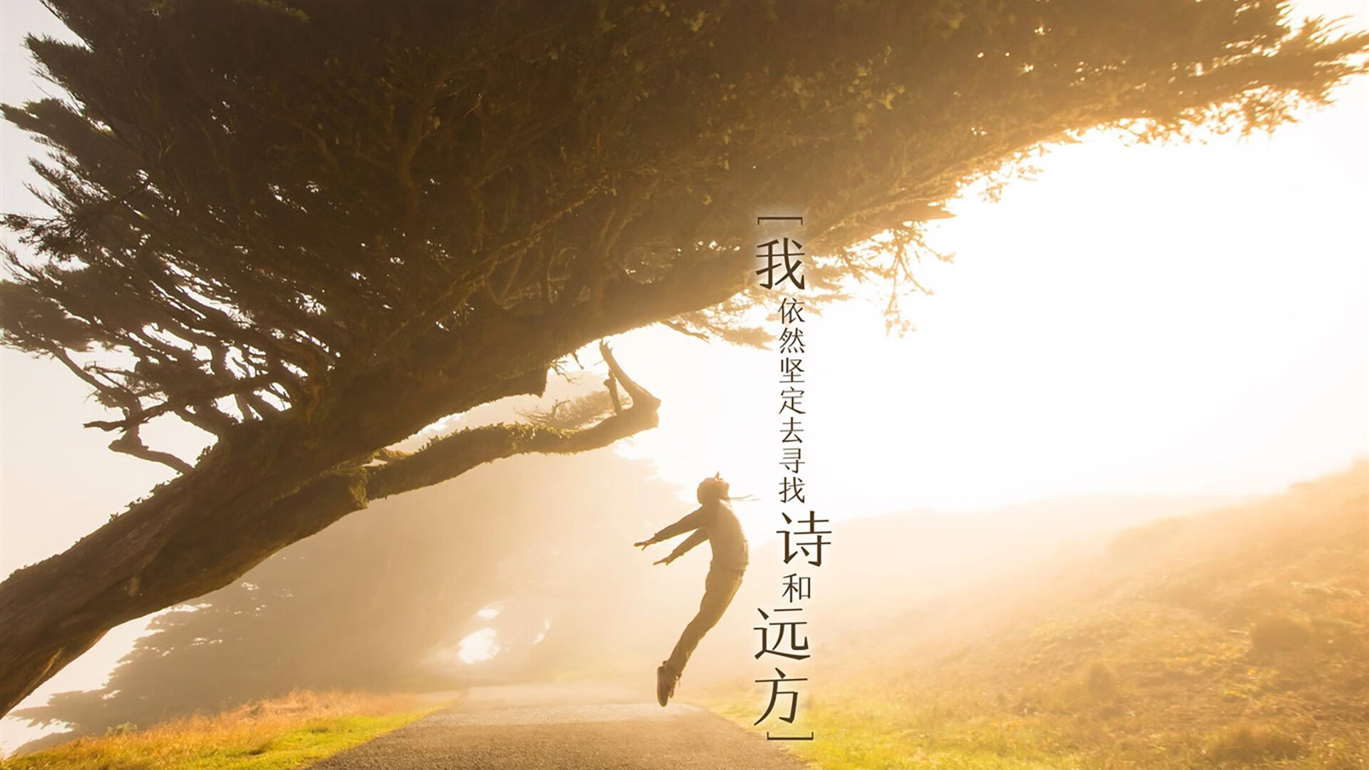 基耶萨的独角戏，洪都拉斯vs爱尔兰，一场被个人光芒定义的比赛