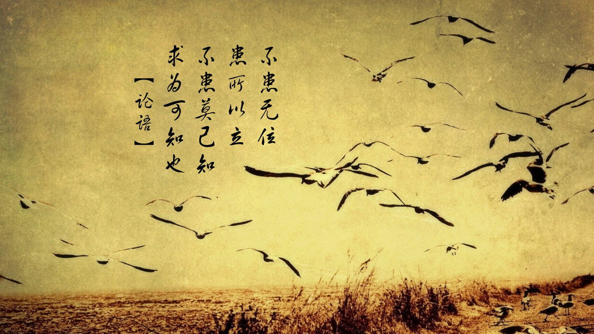 逆转之王，莫德里奇在世界杯争冠战中导演克罗地亚奇迹，瑞士人梦碎