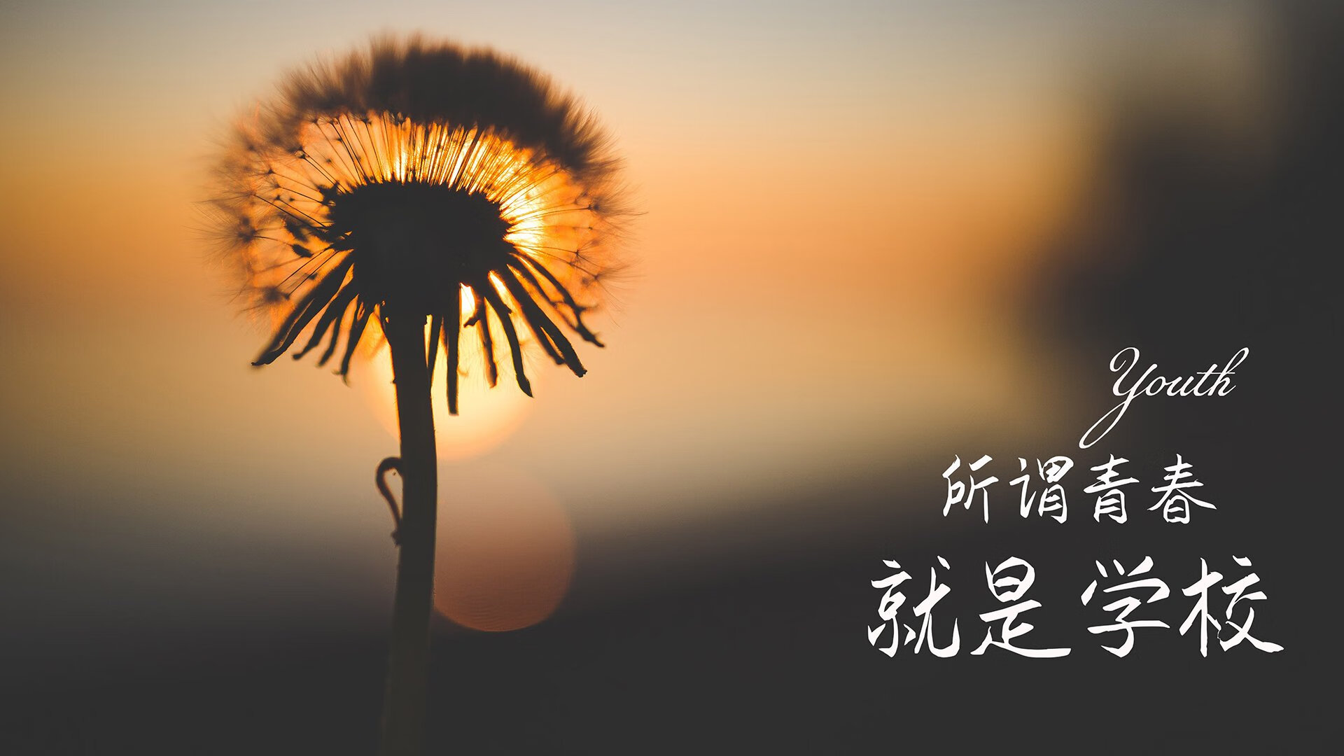 爱游戏体育-冰与火之战的唯一主角，B费如何在2026世界杯书写加纳vs冰岛的命运线